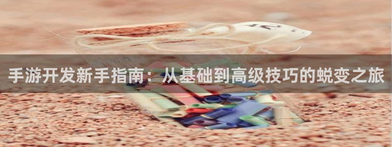恩佐娱乐注册：手游开发新手指南：从基础到高级技巧的蜕变之旅