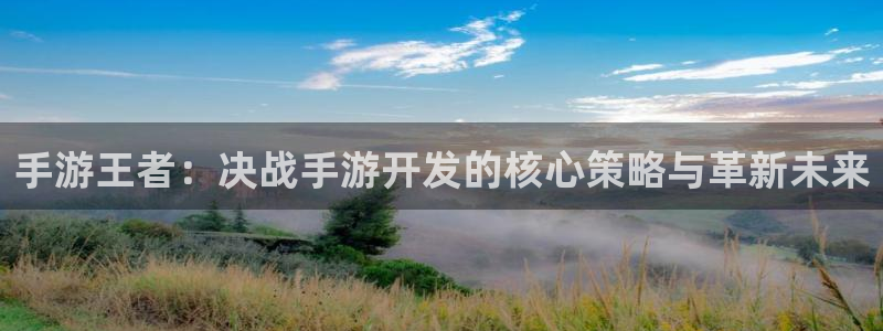 恩佐娱乐平台正规吗可靠吗：手游王者：决战手游开发的核心策略与
