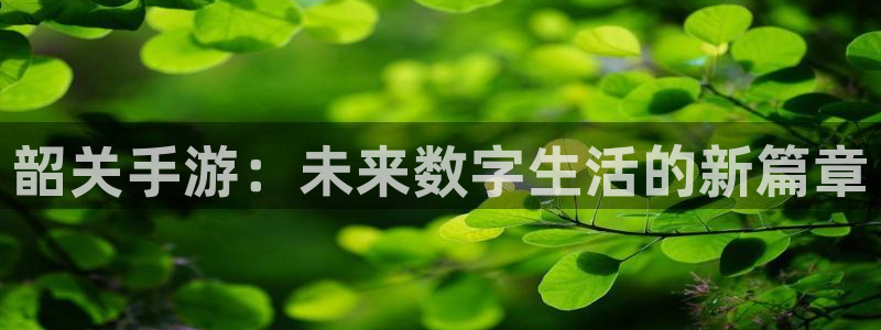 恩佐娱乐平台正规吗知乎：韶关手游：未来数字生活的新篇章