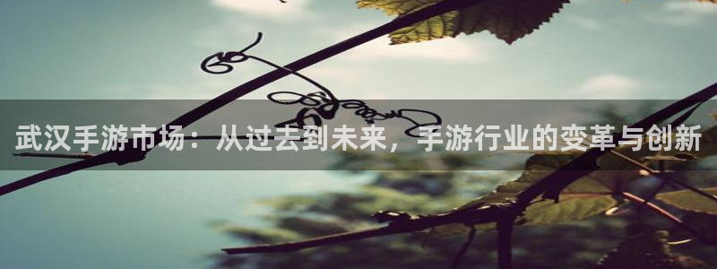 恩佐娱乐手机登录：武汉手游市场：从过去到未来，手游行业的变革