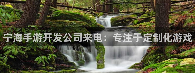 恩佐娱乐登陆：宁海手游开发公司来电：专注于定制化游戏