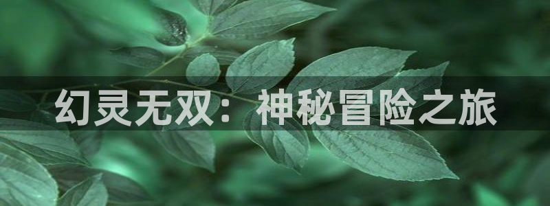 恩佐娱乐1：幻灵无双：神秘冒险之旅