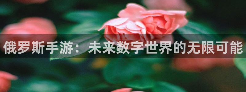 恩佐娱乐平台正规吗可靠吗：俄罗斯手游：未来数字世界的无限可能