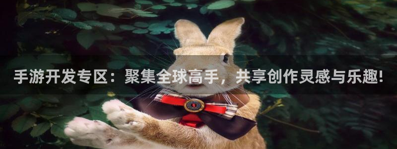 恩佐娱乐手机版最新功能介绍大全：手游开发专区：聚集全球高手，