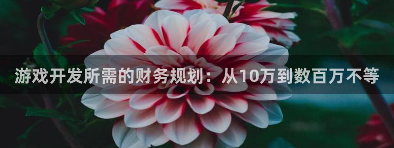 恩佐娱乐平台正规吗知乎：游戏开发所需的财务规划：从10万到数