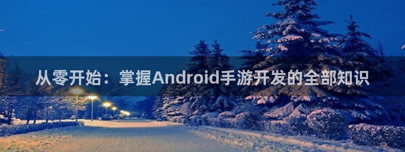 恩佐娱乐1：从零开始：掌握Android手游开发的全部知识
