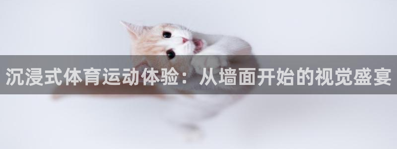 哈哈体育下载