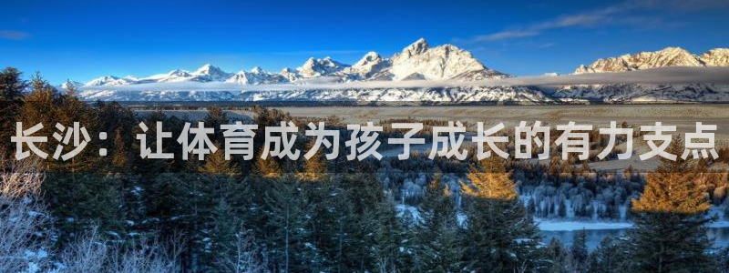 哈哈体育下载