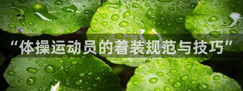 哈哈体育