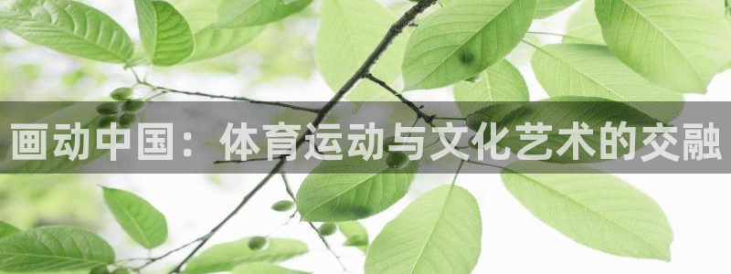 哈哈体育下载