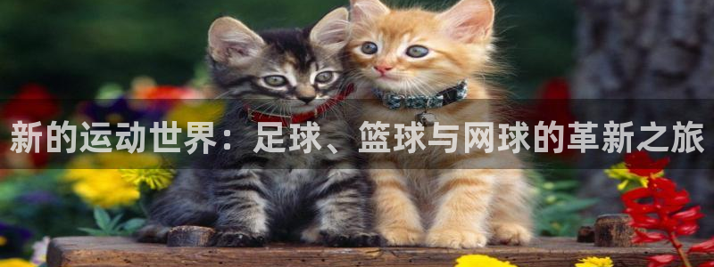 哈哈体育十年：新的运动世界：足球、篮球与网球的革新之旅