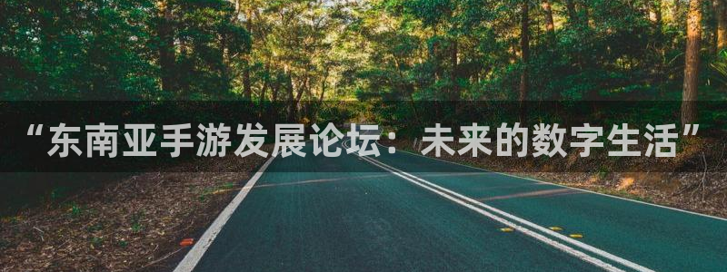 恩佐娱乐手机版最新功能介绍视频：“东南亚手游发展论坛：未来的