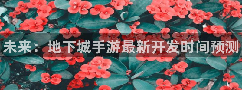 恩佐娱乐平台正规吗知乎：未来：地下城手游最新开发时间预测